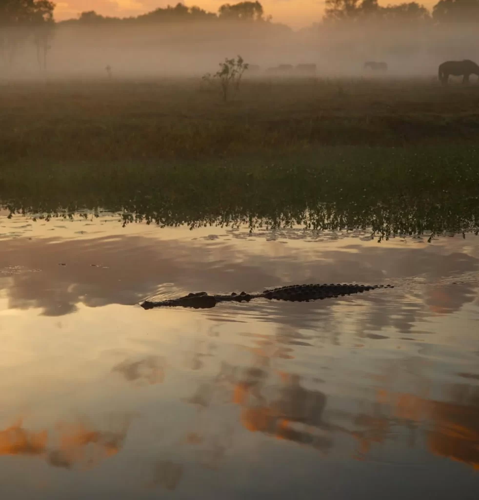 Crocodile Cruise, Darwin to Kakadu