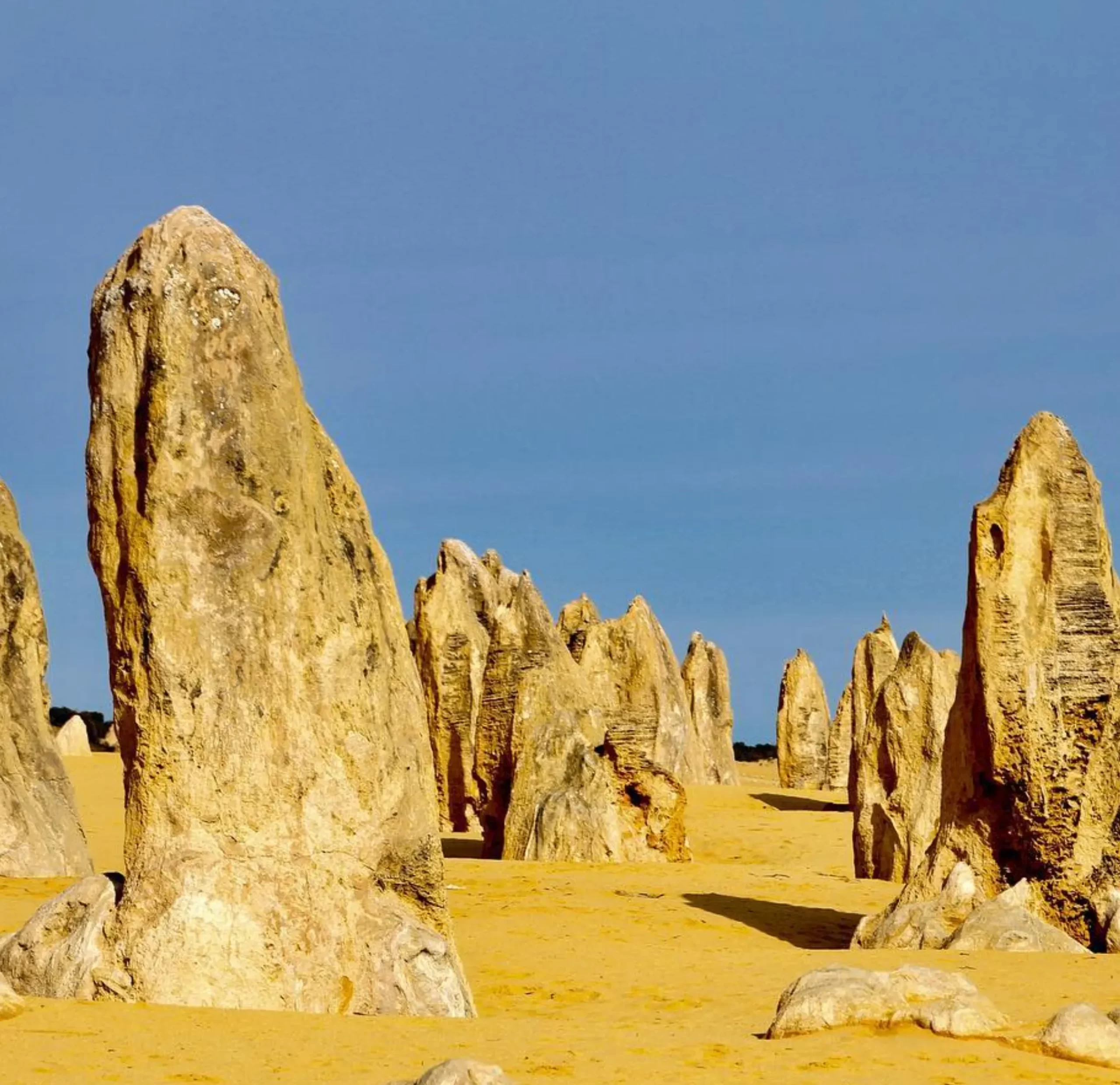 The Pinnacles Desert