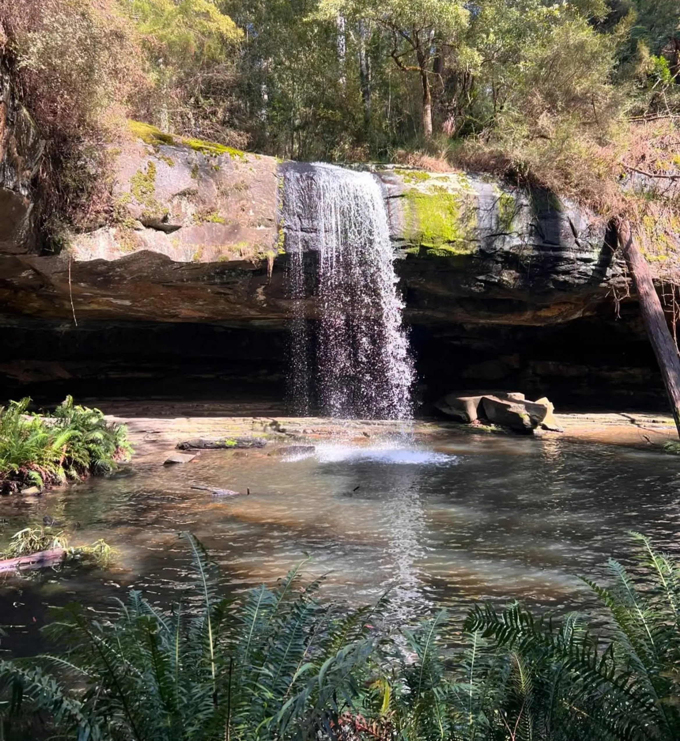 Great Ocean road day tour from Melbourne