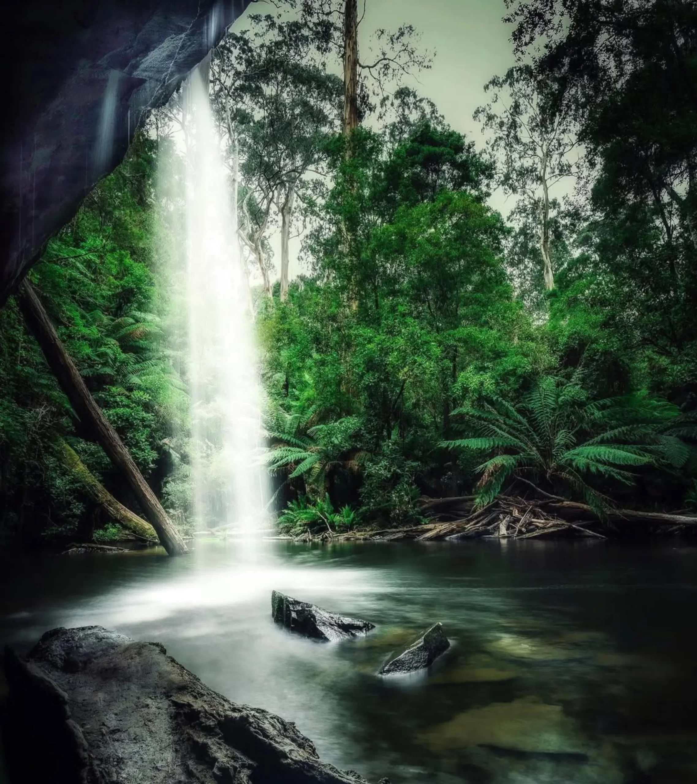 Lower Kalimna Falls