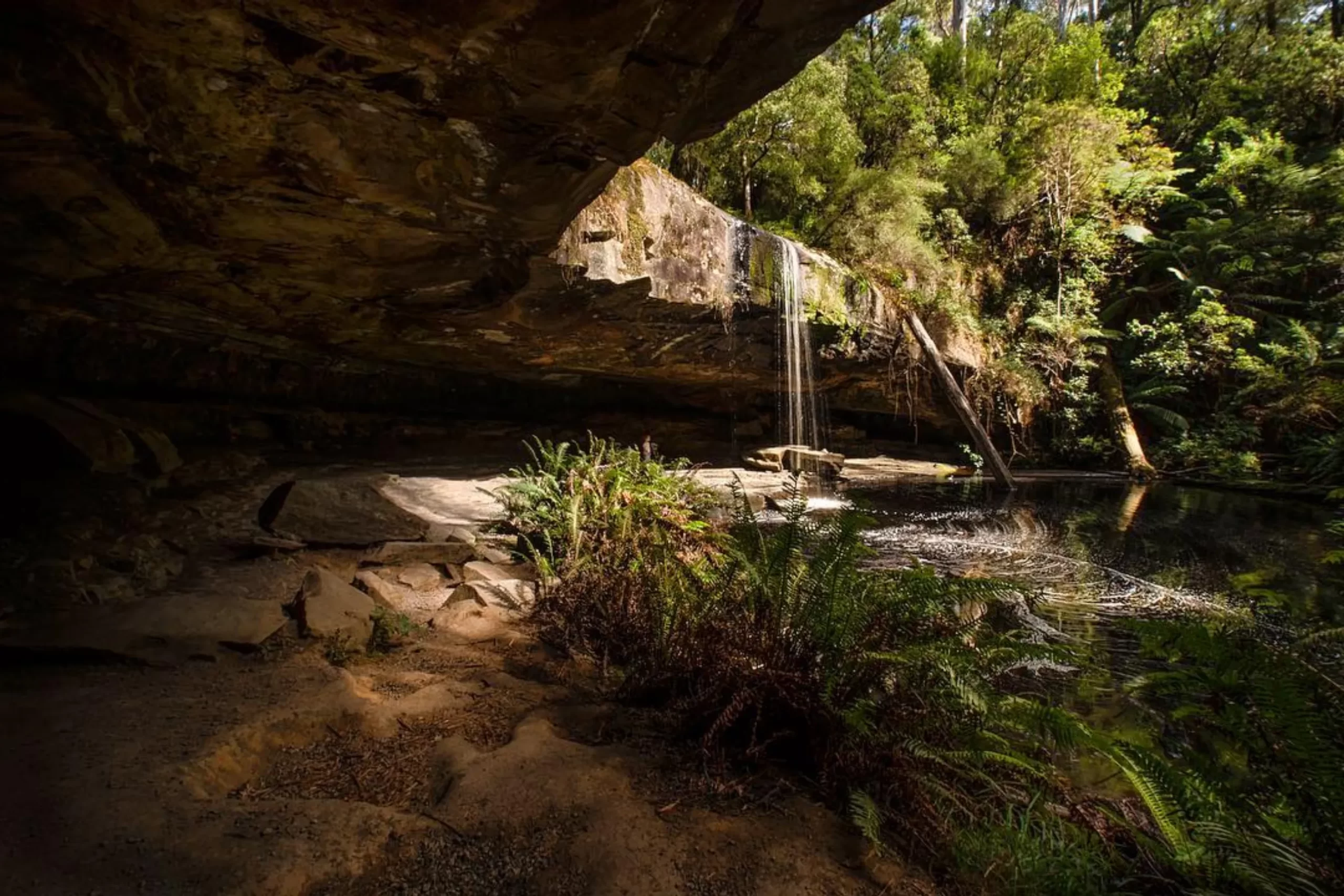 Parks Victoria, Lower Kalimna Falls