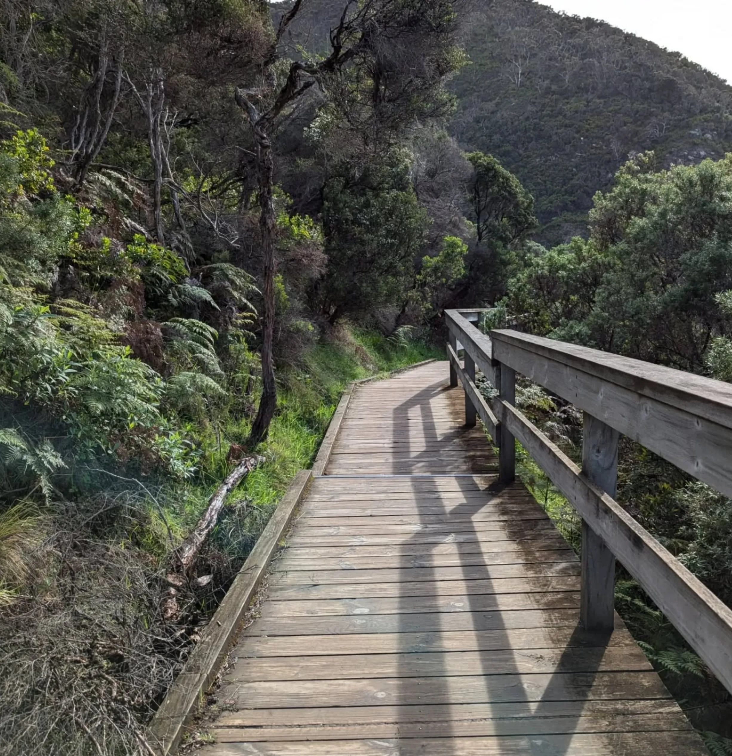 level tracks, Lower Kalimna Falls