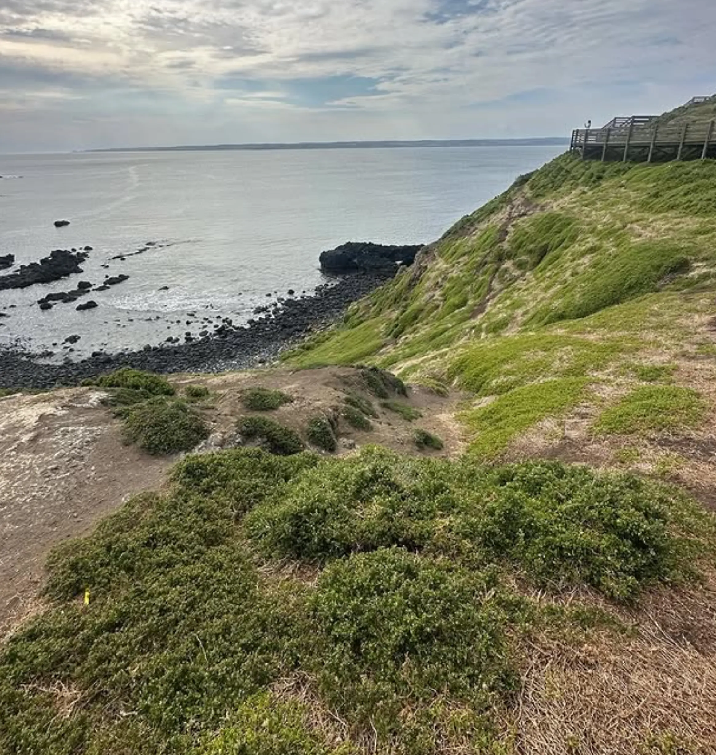 Cape Woolamai walks