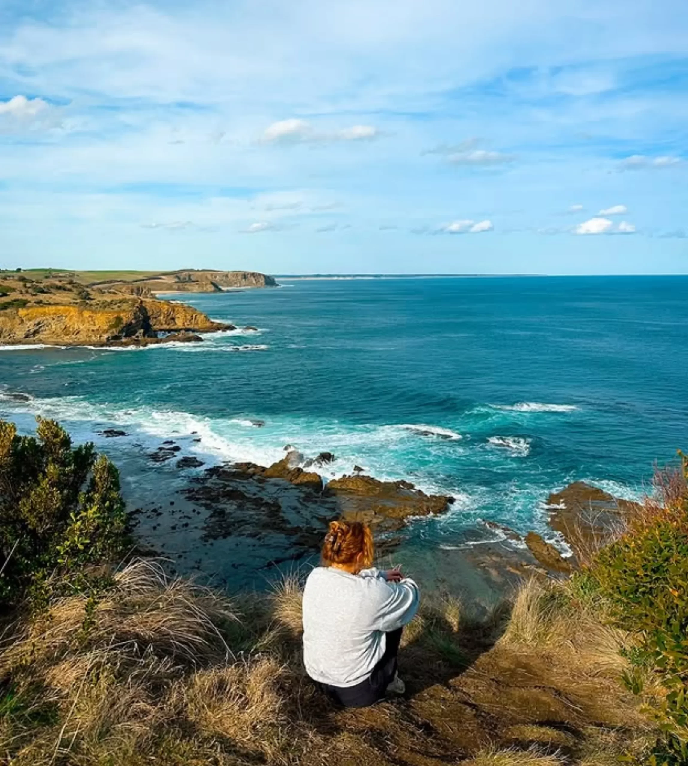 Phillip Island Penguin Parade