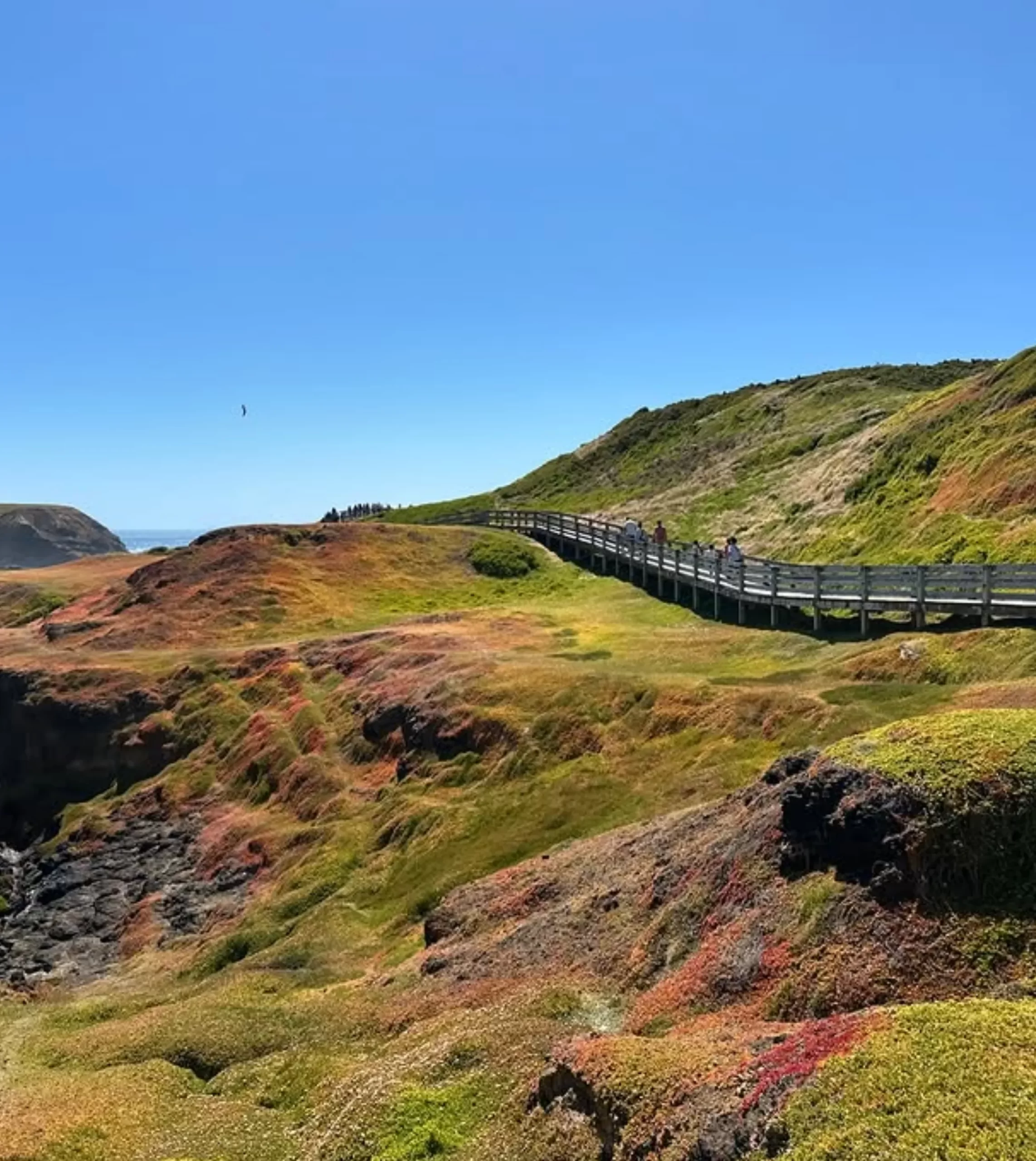 Phillip Island attractions