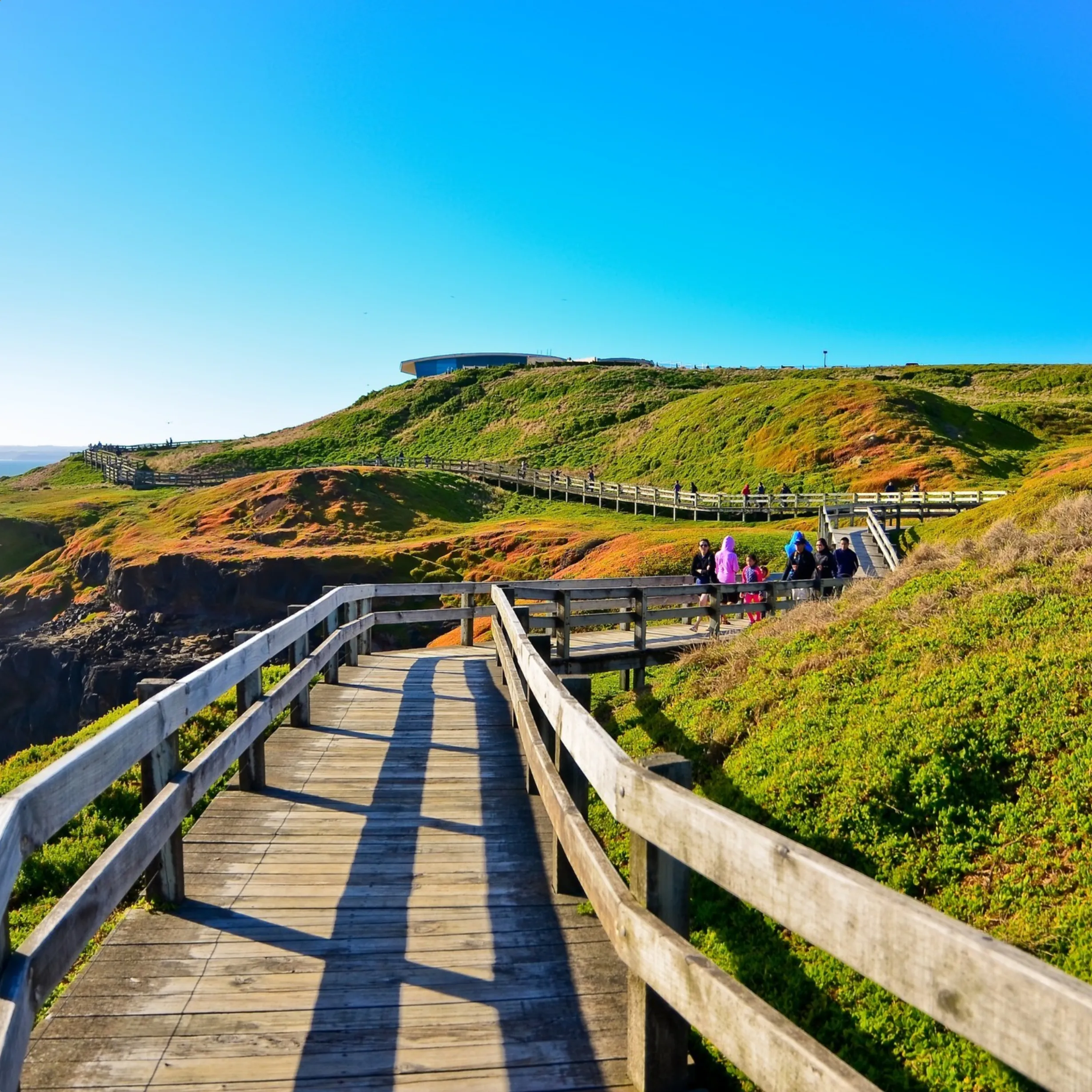 things to do on Phillip Island