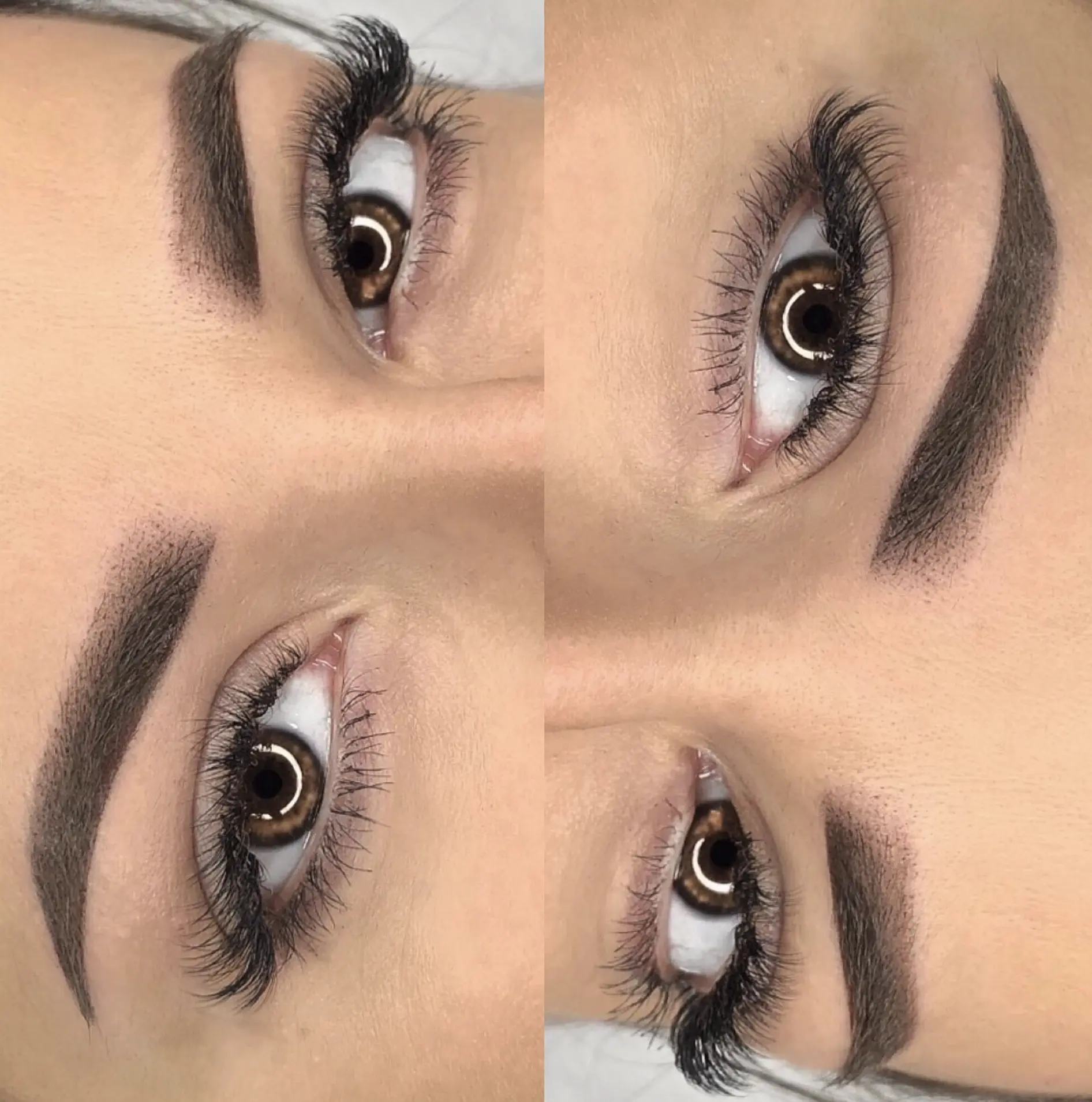 ombre brows nz